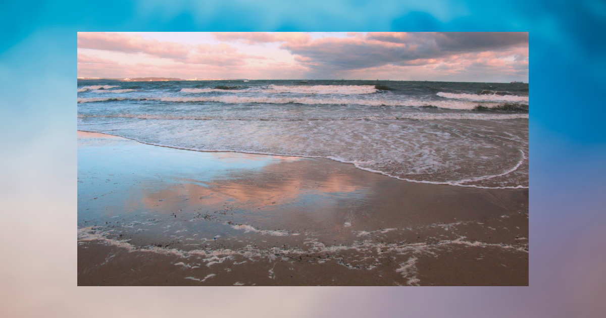 「調子にはのらない、波には乗る」