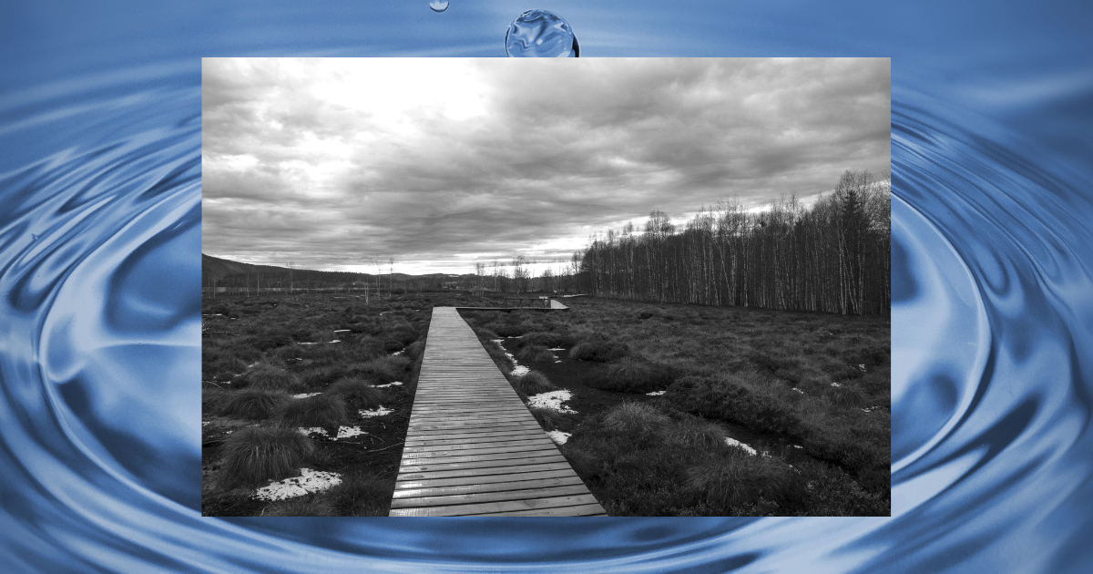 トップ2名の関係が悪化したきっかけ【第1話】